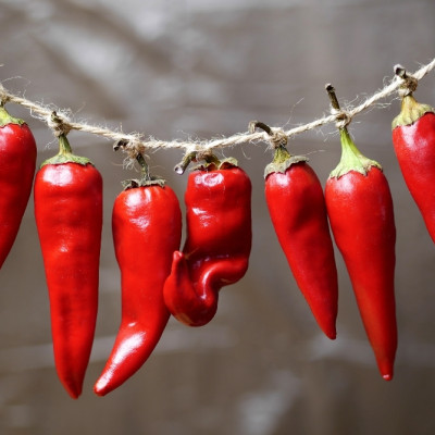 Organic Chili Barak