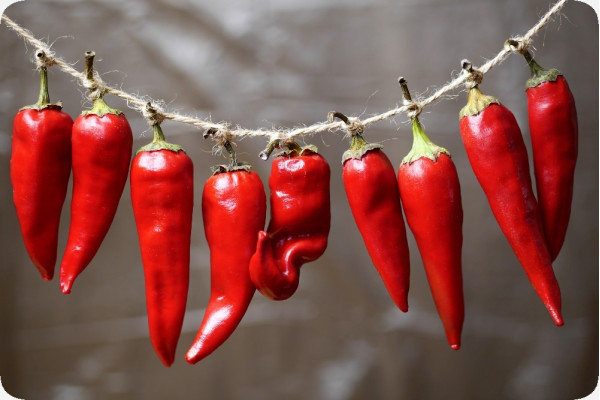 Organic Chili Barak