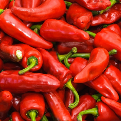 Organic Chili Barak