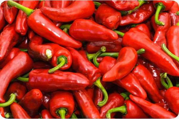 Organic Chili Barak