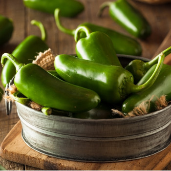 Organic Chili - Early Jalapeno