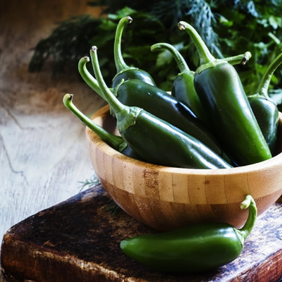 Organic Chili - Early Jalapeno