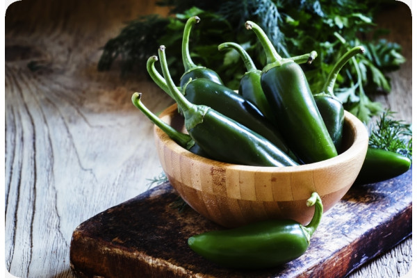 Organic Chili - Early Jalapeno