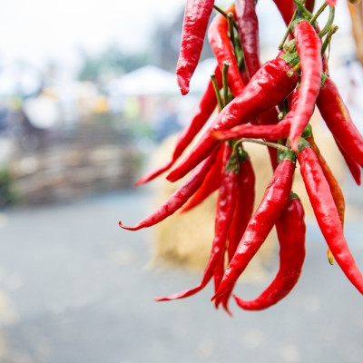 BIO - Chili - De Cayenne Long Slim