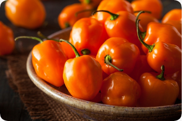 BIO - Chili - Habanero Orange