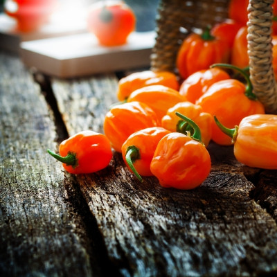 BIO - Chili - Habanero Orange