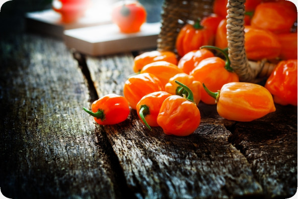 BIO - Chili - Habanero Orange