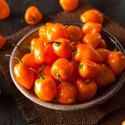 BIO - Chili - Habanero Orange