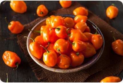 BIO - Chili - Habanero Orange