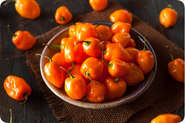BIO - Chili - Habanero Orange