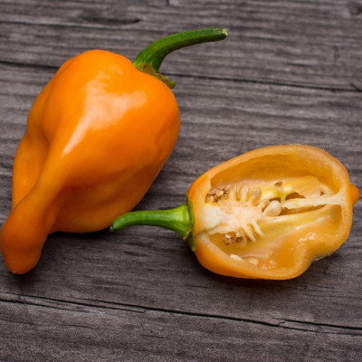 BIO - Chili - Habanero Orange