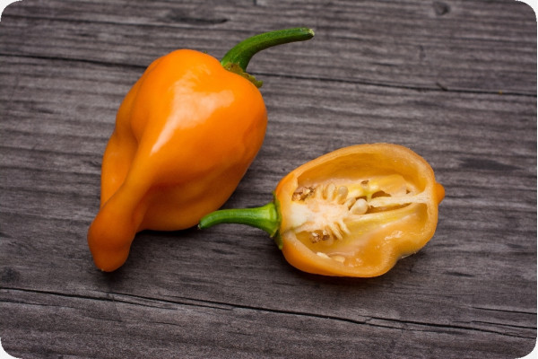 BIO - Chili - Habanero Orange