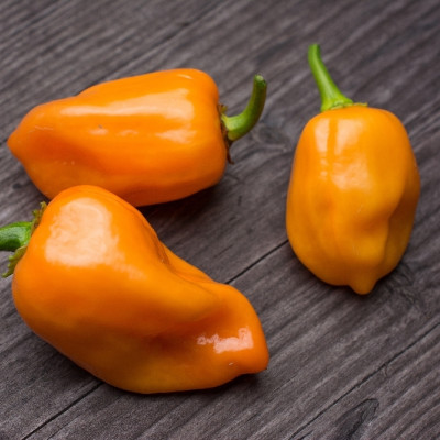 BIO - Chili - Habanero Orange