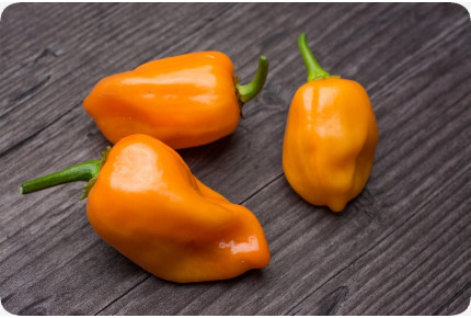 BIO - Chili - Habanero Orange
