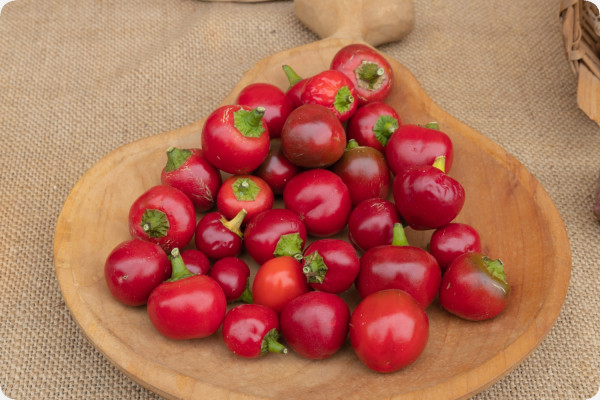 ORGANIC - Chili - Piccante Cilieglia