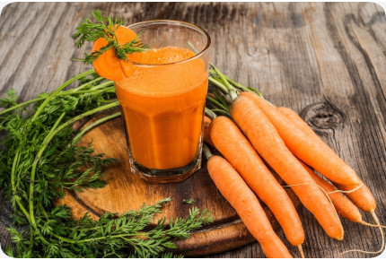 BIO - Möhren - Early Nantes