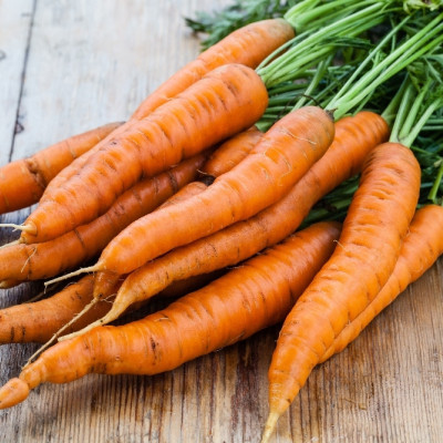 Organic carrots - Early Nantes