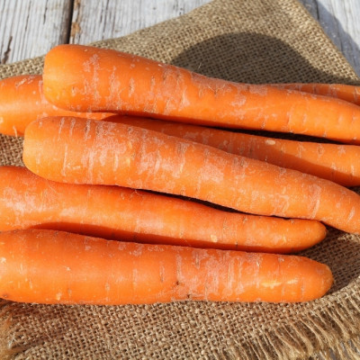 Organic carrots - Early Nantes