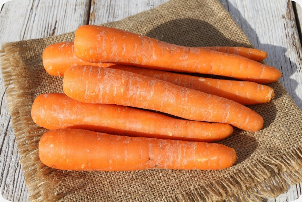 Organic carrots - Early Nantes