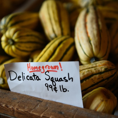 BIO - Kürbis - Delicata