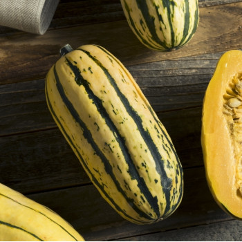 BIO - Kürbis - Delicata