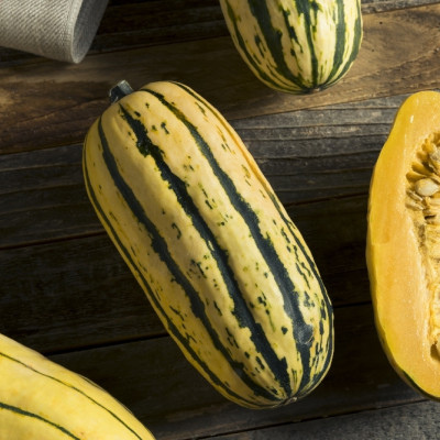 BIO - Kürbis - Delicata