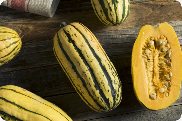 BIO - Kürbis - Delicata