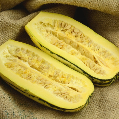 BIO - Kürbis - Delicata