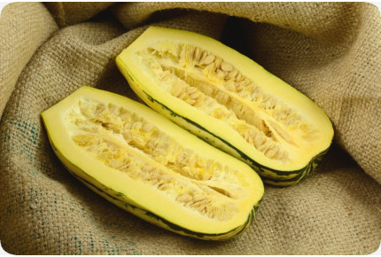 BIO - Kürbis - Delicata