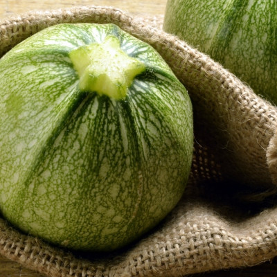 ORGANIC - Zucchini - Tondo di Nizza