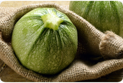 BIO - Zucchini - Tondo di Nizza