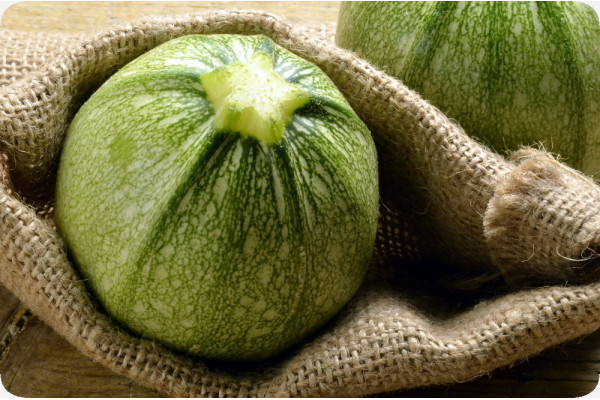 ORGANIC - Zucchini - Tondo di Nizza