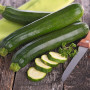 BIO - Zucchini - Nero di Milano