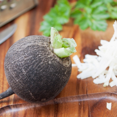 Organic - Black Spanish Radish
