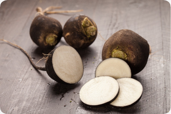 Organic - Black Spanish Radish