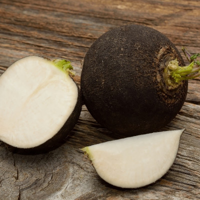 Organic - Black Spanish Radish
