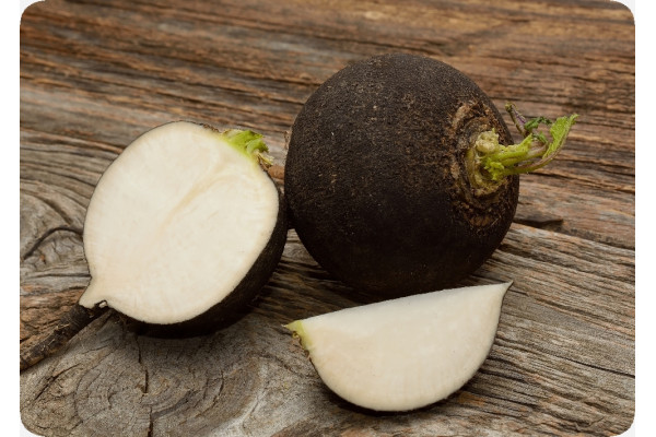 Organic - Black Spanish Radish
