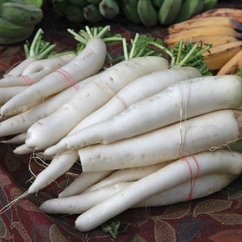 BIO - Rettich - Japanischer Daikon