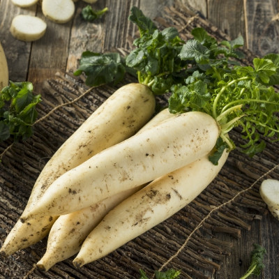 Organic - Radish - Japanese Daikon