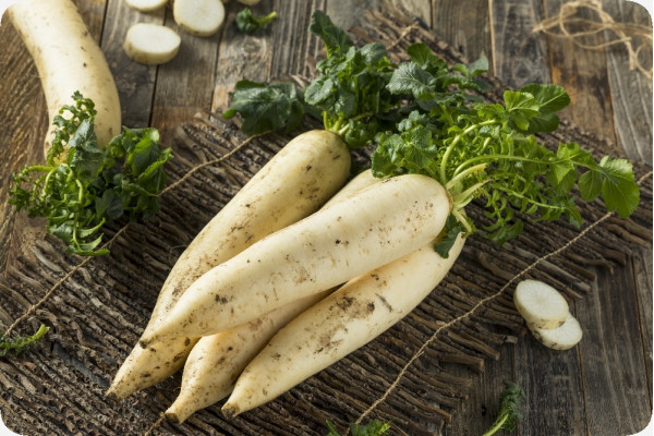 Organic - Radish - Japanese Daikon