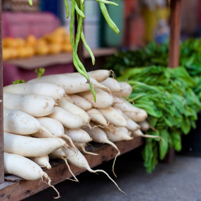Organic - Radish - Japanese Daikon