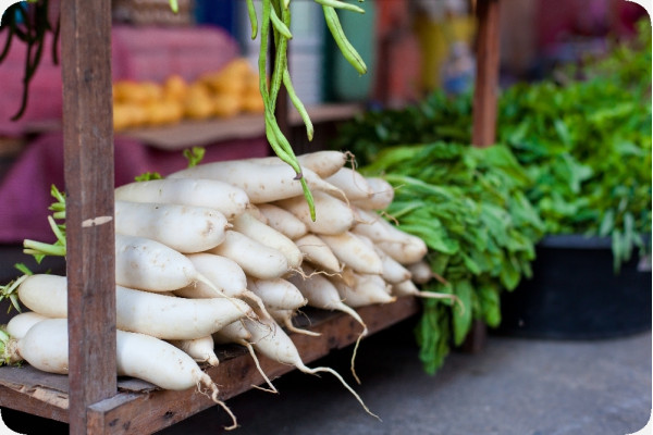 Organic - Radish - Japanese Daikon