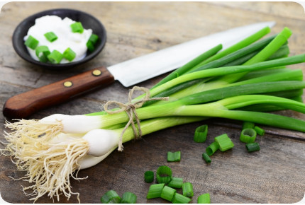 BIO - Frühlingszwiebel - Weißer Lissabonner