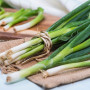 Organic - Spring onion - Japanese Ishikura