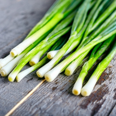 BIO - Frühlingszwiebel - Japanische Ishikura