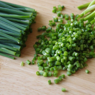 BIO - Frühlingszwiebel - Japanische Ishikura