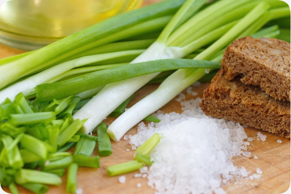 BIO - Frühlingszwiebel - Japanische Ishikura