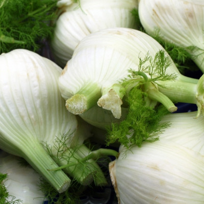 Organic - Bulb fennel