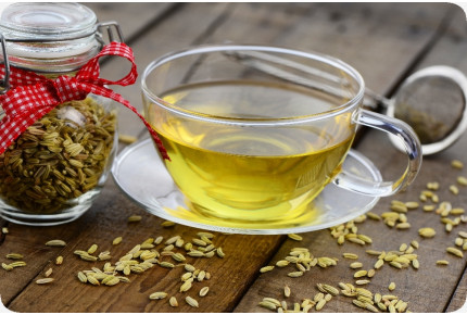 ORGANIC - bulbous fennel