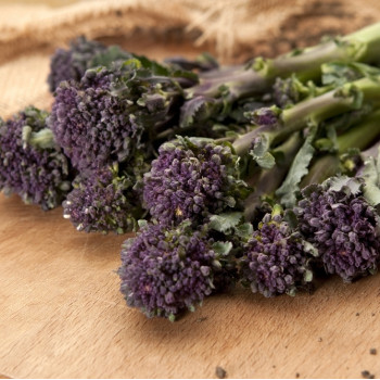 Organic Broccoli - Early Purple